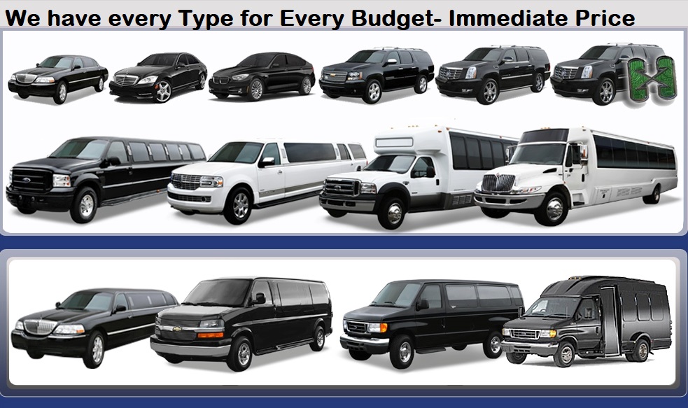 we have every type for every budget immediate price on all cars